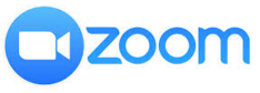 Zoom logo
